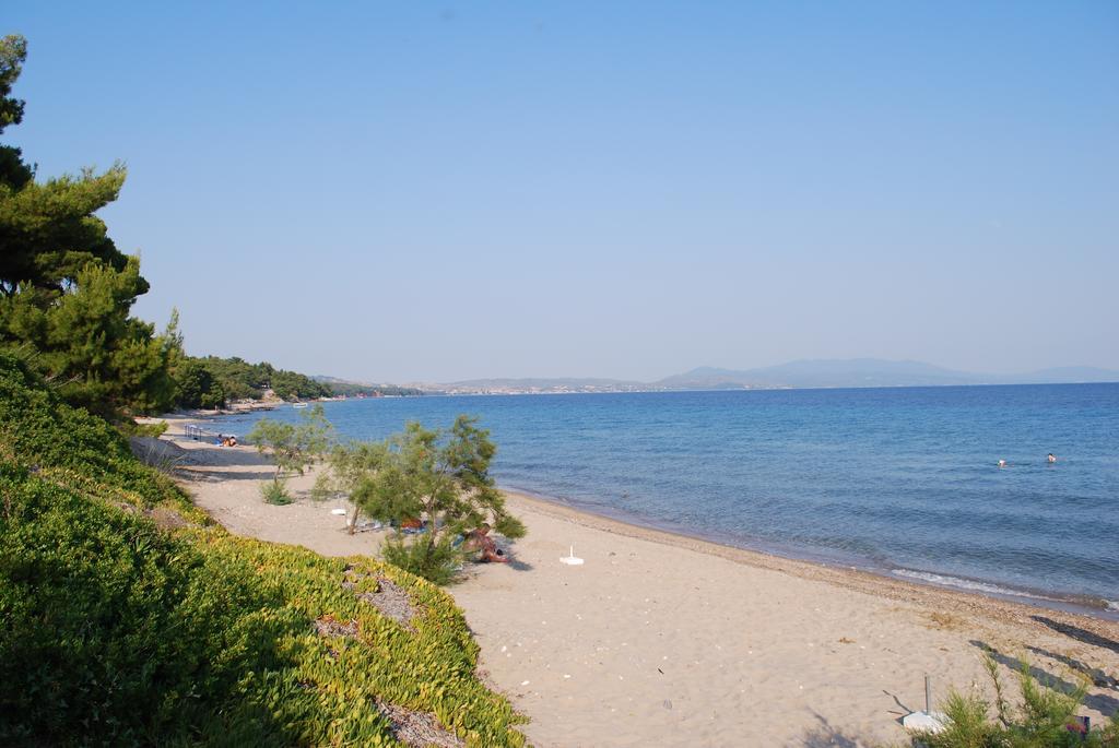 Amari Hotel Metamorfosi  Zewnętrze zdjęcie